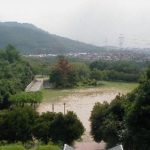 今年のツクツクボウシの初鳴きは８月１０日でした。